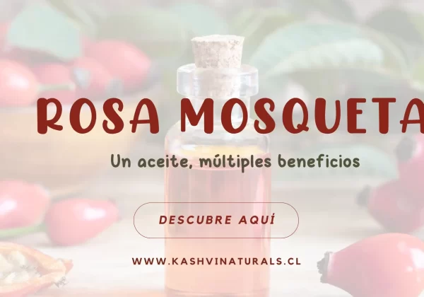 Descubre cómo el aceite de rosa mosqueta puede regenerar, hidratar y rejuvenecer tu piel. Aprende a usarlo y conoce nuestros productos naturales.